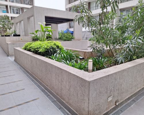 127999_Jardín