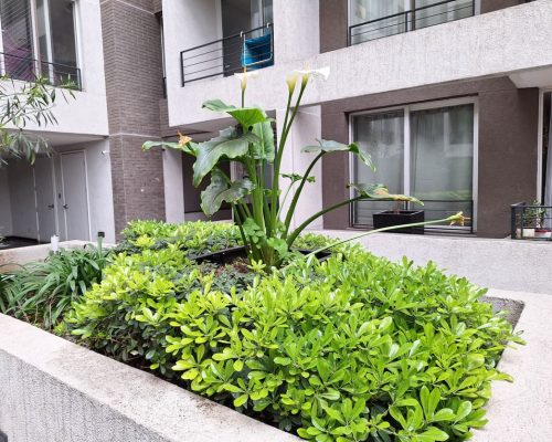 127999_Jardines_EC