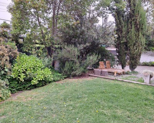 157462_Jardín (2)