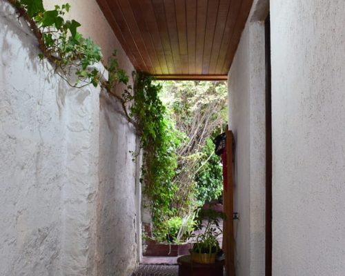 60900_Pasillo_Jadin