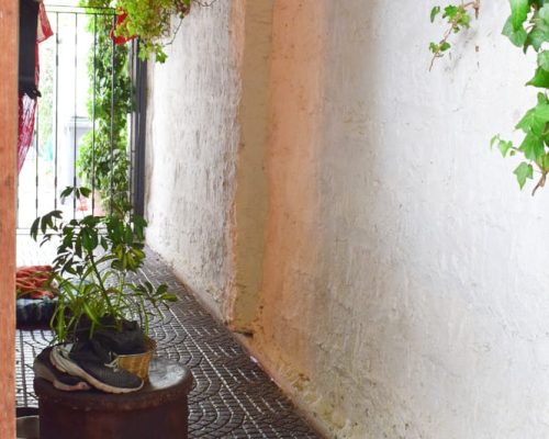 60900_Pasillo_jardín