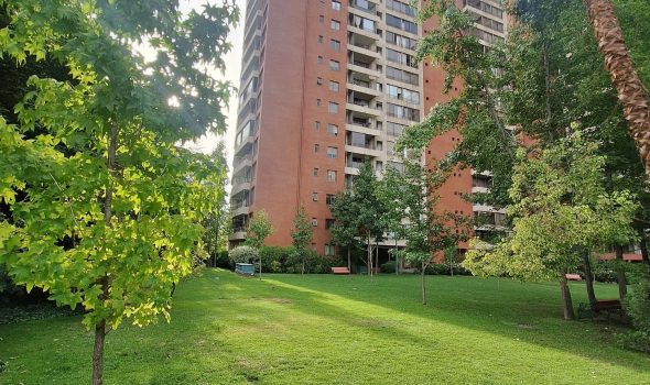 84215_Protada
