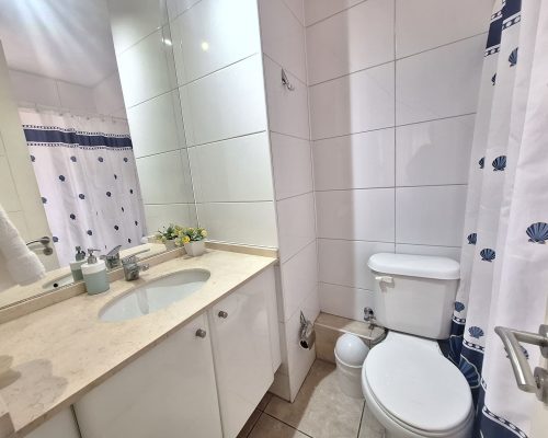 84215_Z_Baño_Dorm_Prin