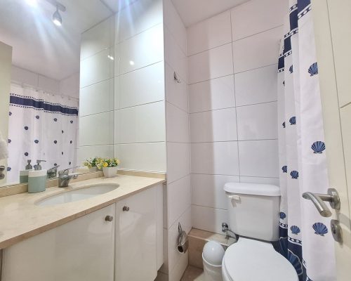 84215_Z_Baño_Dorm_Princ